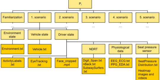 Blockgrafik zur Struktur des Versuches